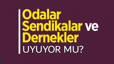 SİVİL TOPLUM KURULUŞLARI UYUYORMU?
