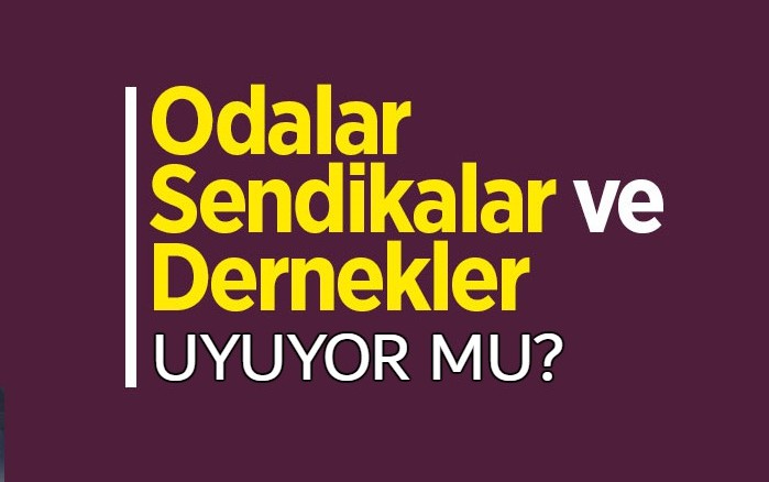 SİVİL TOPLUM KURULUŞLARI UYUYORMU?