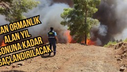 ÖĞÜNÇ ”KIRIKHAN KENT ORMANINDA YARALAR SARILACAK”