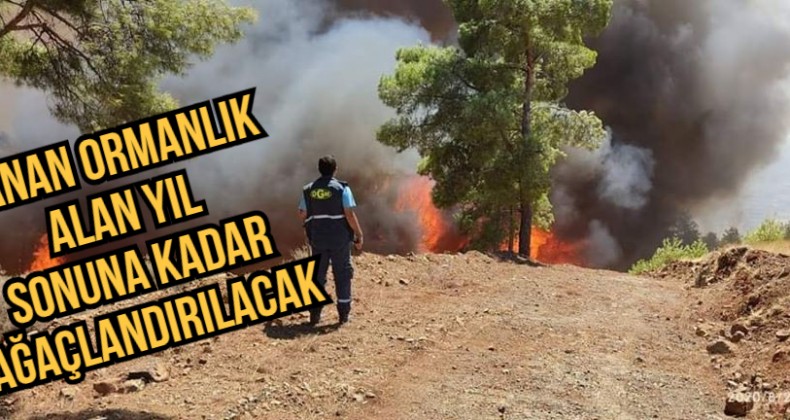 ÖĞÜNÇ ”KIRIKHAN KENT ORMANINDA YARALAR SARILACAK”