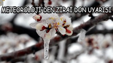Zirai Don Tehlikesine Dikkat!
