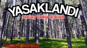 HATAY VALİLİĞİ ORMANLARA GİRİŞİ YASAKLADI
