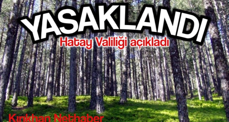 HATAY VALİLİĞİ ORMANLARA GİRİŞİ YASAKLADI
