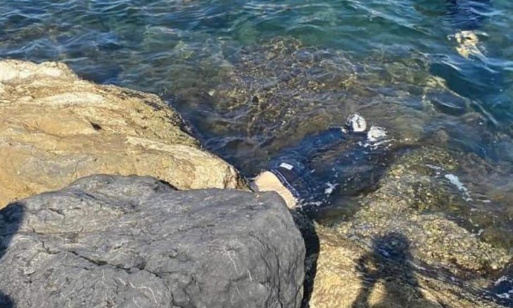 Balıkçı Barınağında erkek cesedi bulundu