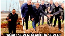 *Yayman, Hatay’ı Çınar ve Dut ağaçlarıyla donatıyor *