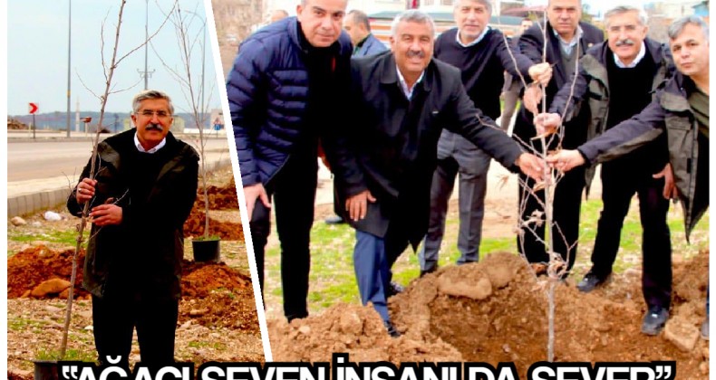 *Yayman, Hatay’ı Çınar ve Dut ağaçlarıyla donatıyor *