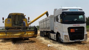 KIRIKHAN’DA BUĞDAY HASADI BAŞLADI