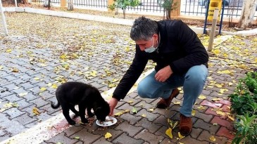 AYHAN YAVUZ; “BU İNSANLIK DIŞI VAHŞETİ ŞİDDETLE VE LANETLE KINIYORUM.!”