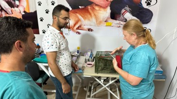 KIRIKHAN BELEDİYESİ SOKAK HAYVANLARI KISIRLAŞTIRMA SEFERBERLİĞİ BAŞLATTI