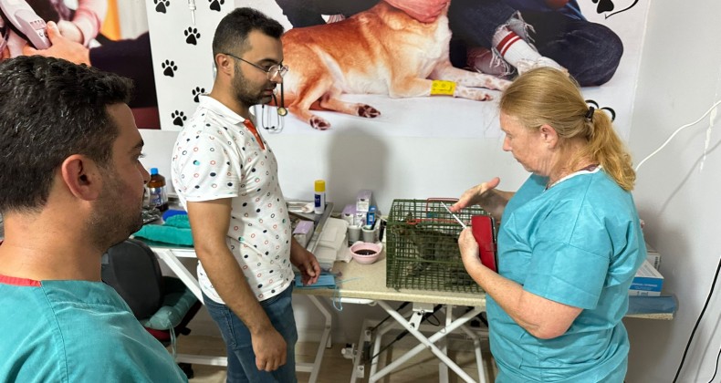 KIRIKHAN BELEDİYESİ SOKAK HAYVANLARI KISIRLAŞTIRMA SEFERBERLİĞİ BAŞLATTI