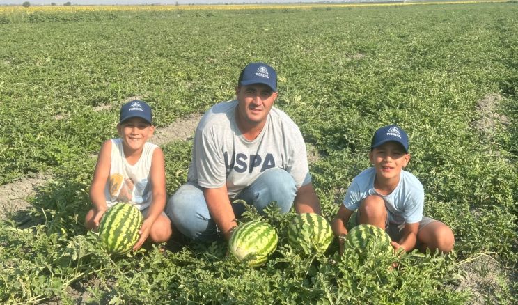Kırıkhan’da Karpuz Hasadı Başladı: 20 Yıllık Aile Geleneğini Sürdürüyor