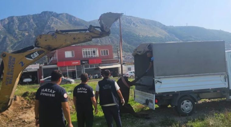 Antakya’da Kuyuya Düşen At İtfaiye Ekiplerince Kurtarıldı
