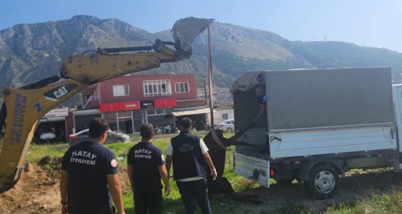 Antakya’da Kuyuya Düşen At İtfaiye Ekiplerince Kurtarıldı