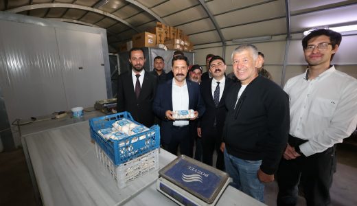 Vali Mustafa Masatlı’dan Yayladağı’nda Mantar Üretim Tesisine Ziyaret