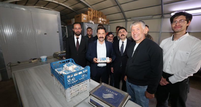 Vali Mustafa Masatlı’dan Yayladağı’nda Mantar Üretim Tesisine Ziyaret