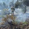 Hassa’da Zeytinlik Yangını Kısa Sürede Söndürüldü