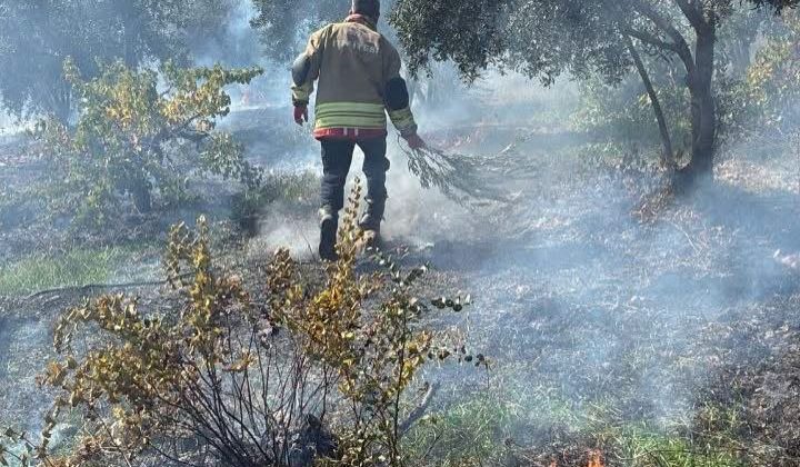 Hassa’da Zeytinlik Yangını Kısa Sürede Söndürüldü