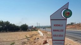 BİR KODALLI- ÇOŞLU YARIŞI (Kodallı’nun ‘Cor’ Ustalığı üstüne)